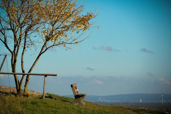 Comment faire ses courses pour manger sain et favoriser la minceur ?